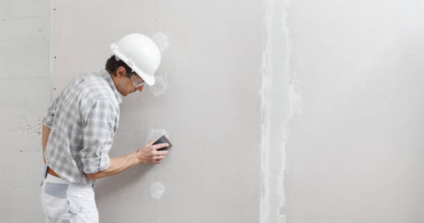 Best Touch-Up Painting Services  in USA