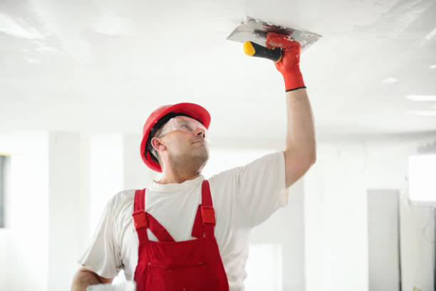 Best Custom Drywall Patching  in USA